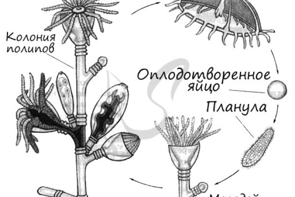 Кракен площадка