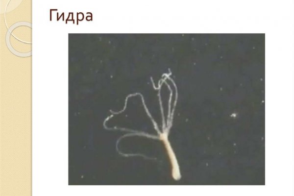 Как заказать на кракене