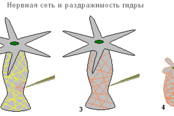 Адрес кракен в тор